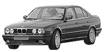 BMW E34 B25CB Fault Code